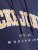 Jack & Jones CALEB Hoodie Navy Blazer - Sweaters & hoodies - Sweaters & Hoodies Grote Maten Heren