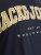 Jack & Jones CALEB VARSITY O-Neck T-Shirt Navy Blazer - T-shirts - Grote Maten T-shirts Heren