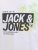  Jack & Jones Jaxon Crew Neck T-Shirt White - T-shirts - Grote Maten T-shirts Heren