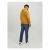 Jack & Jones Codyy Hoodie Yellow - Sweaters & Hoodies - Sweaters & Hoodies Grote Maten Heren