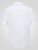 D555 James Oxford Overhemd Met Korte Mouwen TALL Wit - TALL hemden - 