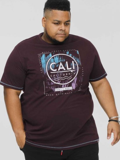 D555 NOVA Cali Surf Printed Crew Neck T-Shirt Plum - T-shirts - Grote Maten T-shirts Heren