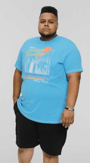 D555 AARON Surfers Paradise Printed Crew Neck T-Shirt Turquoise - T-shirts - Grote Maten T-shirts Heren