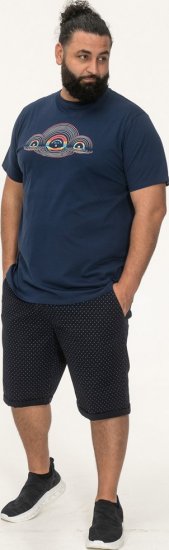 D555 Cheltenham Record With Reflection Printed T-shirt French Navy - T-shirts - Grote Maten T-shirts Heren