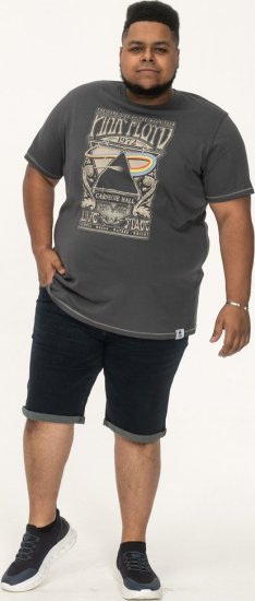 D555 HANLEY Official Pink Floyd Crew Neck T-Shirt Dark Grey - T-shirts - Grote Maten T-shirts Heren