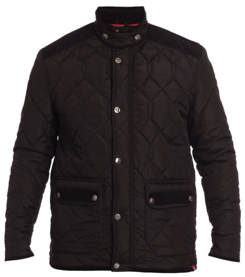 D555 Audley Jacket - Jassen - Grote Maten Herenjassen