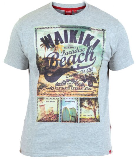 D555 Kandy T-shirt Grey - T-shirts - Grote Maten T-shirts Heren