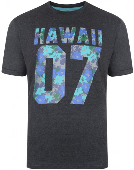 Kam Jeans 542 T-shirt Charcoal - T-shirts - Grote Maten T-shirts Heren