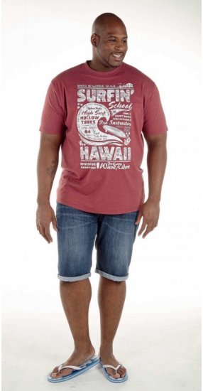 D555 Francis Burgundy T-shirt - T-shirts - Grote Maten T-shirts Heren