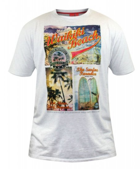 D555 Winthorp T-shirt White - T-shirts - Grote Maten T-shirts Heren