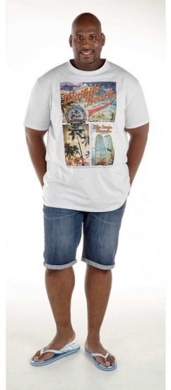 D555 Winthorp T-shirt White - T-shirts - Grote Maten T-shirts Heren