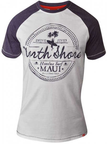D555 JAYSON Raglan Crew Neck T-Shirt Grey - T-shirts - Grote Maten T-shirts Heren