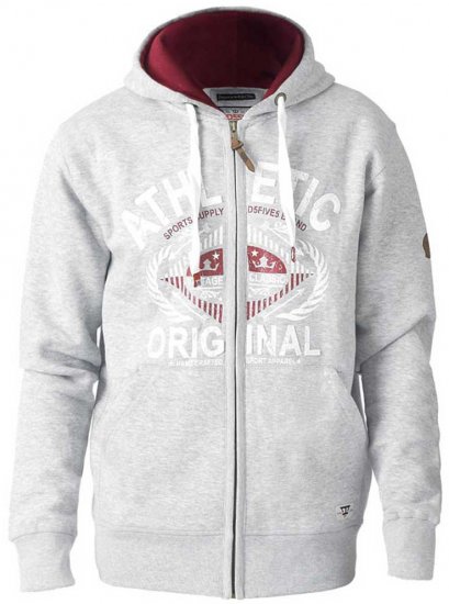 D555 Gabriel Athletic Zip Hoodie Grey - Sweaters & hoodies - Sweaters & Hoodies Grote Maten Heren