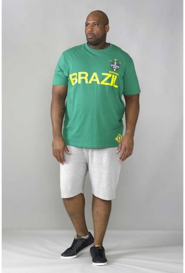 D555 Ricardo T-shirt Green - T-shirts - Grote Maten T-shirts Heren