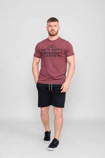 D555 LINTON Printed T-Shirt - T-shirts - Grote Maten T-shirts Heren