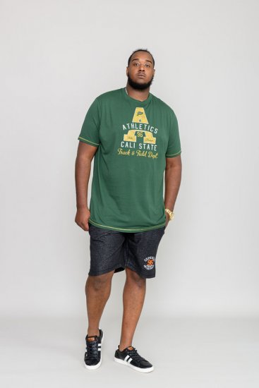 D555 TOVIL Printed T-Shirt - T-shirts - Grote Maten T-shirts Heren