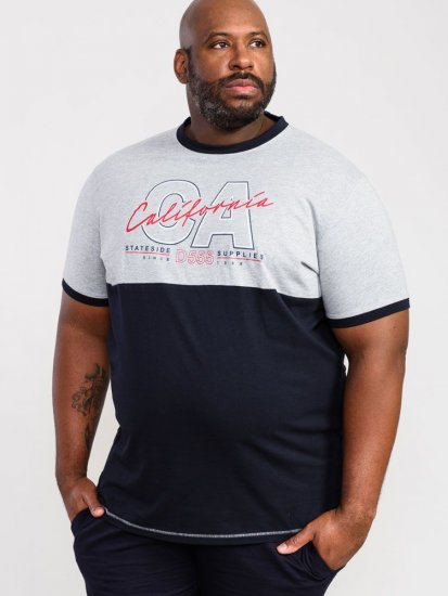 D555 Juniper California Printed T-Shirt - T-shirts - Grote Maten T-shirts Heren