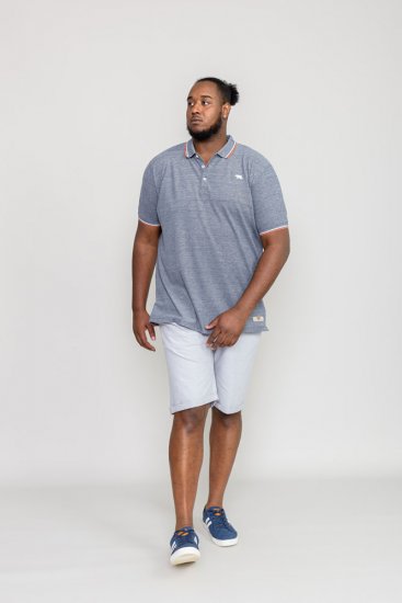 D555 WILCOT Polo Shirt - Polo shirts - Grote Maten Poloshirts Heren