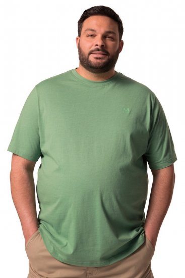 Men+ 276 T-shirt ronde hals Groen - T-shirts - Grote Maten T-shirts Heren