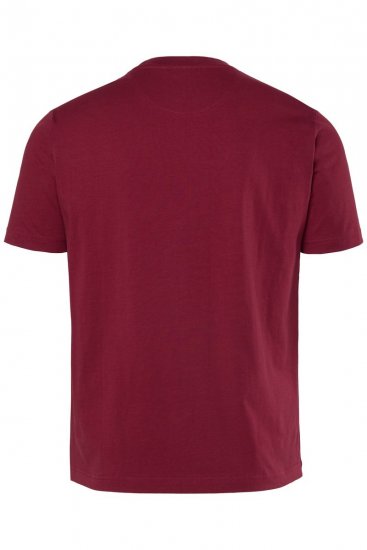 Men+ 219 T-shirt Palmbomen Koperbruin - T-shirts - Grote Maten T-shirts Heren