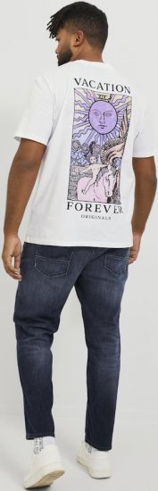 Jack & Jones GLENN FOX GE 224 Jeans Blue Denim - Jeans & broeken - Jeans & Broeken Grote Maten Heren