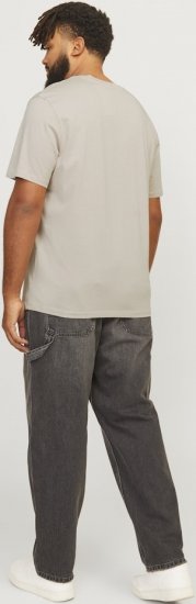 Jack & Jones LEGACY BLOCKING T-Shirt Beige - T-shirts - Grote Maten T-shirts Heren