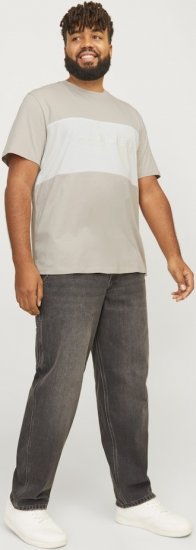 Jack & Jones LEGACY BLOCKING T-Shirt Beige - T-shirts - Grote Maten T-shirts Heren