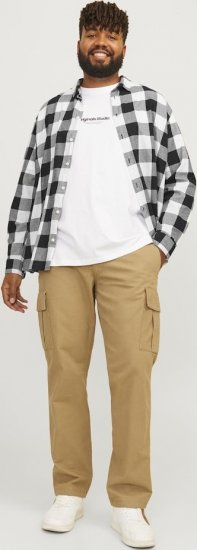 Jack & Jones Gingham L/S Shirt Whisper White - Hemden - Overhemden Grote Maten Heren