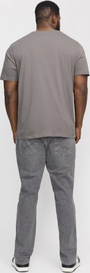 Jack & Jones GLENN ORIGINAL SQ 703 Grey Denim - Jeans & broeken - Jeans & Broeken Grote Maten Heren