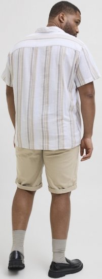 Jack & Jones Dave Chino Shorts Beige - Shorts - Grote Maten Korte Broeken Heren