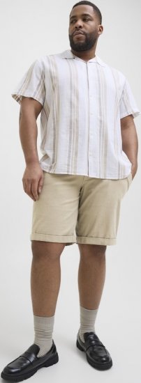 Jack & Jones Dave Chino Shorts Beige - Shorts - Grote Maten Korte Broeken Heren