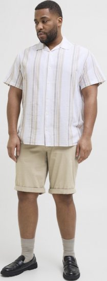 Jack & Jones Dave Chino Shorts Beige - Shorts - Grote Maten Korte Broeken Heren