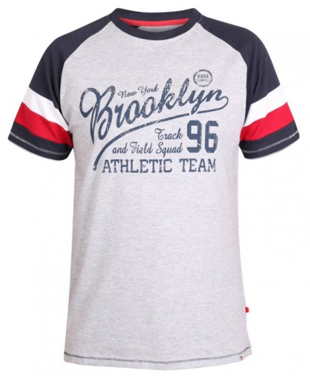 D555 Jones T-shirt Grey - T-shirts - Grote Maten T-shirts Heren