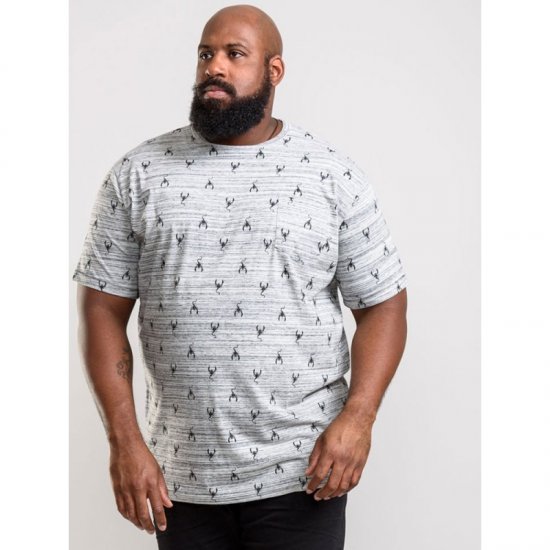 D555 Dario T-shirt Grey - T-shirts - Grote Maten T-shirts Heren