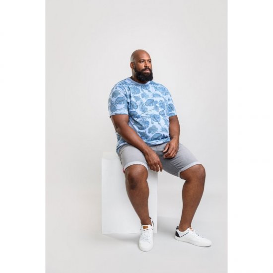 D555 Seymour T-shirt Blue - T-shirts - Grote Maten T-shirts Heren