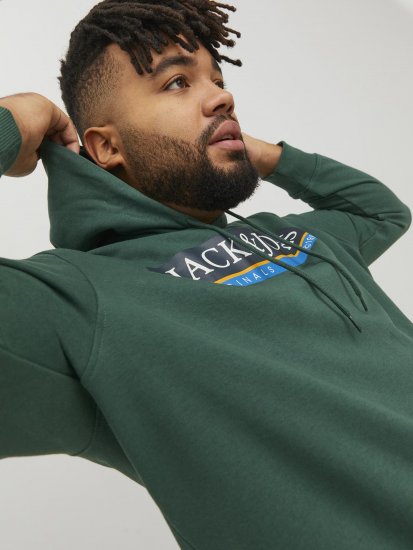 Jack & Jones Codyy Hoodie Green - Sweaters & hoodies - Sweaters & Hoodies Grote Maten Heren