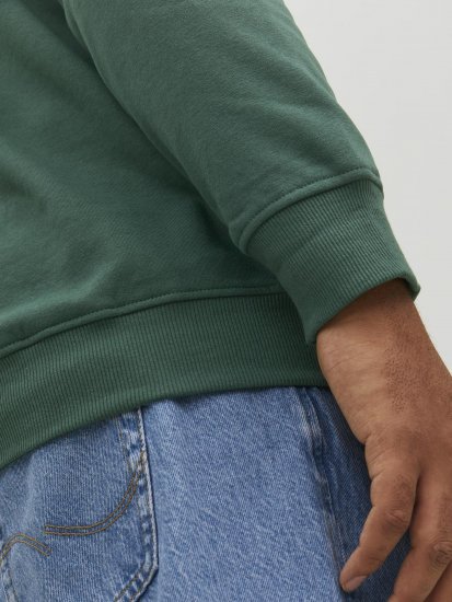 Jack & Jones Codyy Hoodie Green - Sweaters & hoodies - Sweaters & Hoodies Grote Maten Heren