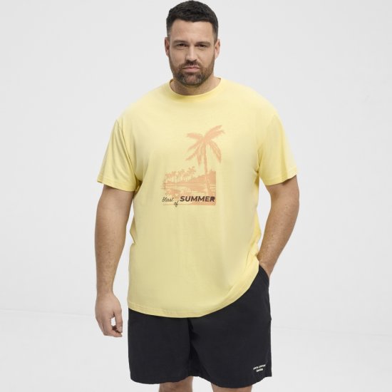 North Latitude T-Shirt Printed Yellow - T-shirts - Grote Maten T-shirts Heren