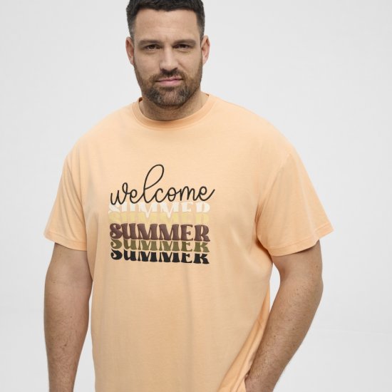 North Latitude T-Shirt Summer Peach - T-shirts - Grote Maten T-shirts Heren