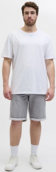 Jack & Jones Rick Icon I.K. GE 063 Shorts Grey Denim - Shorts - Grote Maten Korte Broeken Heren