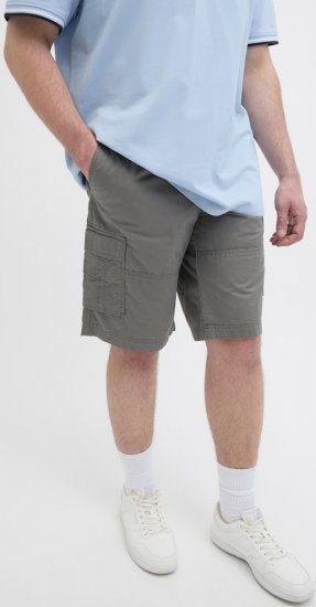 Jack & Jones Cole Mateo Cargo Shorts Castlerock - Shorts - Grote Maten Korte Broeken Heren