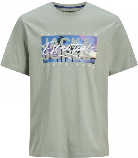 Jack & Jones Colton Photoprint Crew Neck T-Shirt Iceberg Green - T-shirts - Grote Maten T-shirts Heren