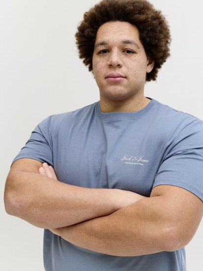 Jack & Jones Archive T-shirt Grijs - T-shirts - Grote Maten T-shirts Heren