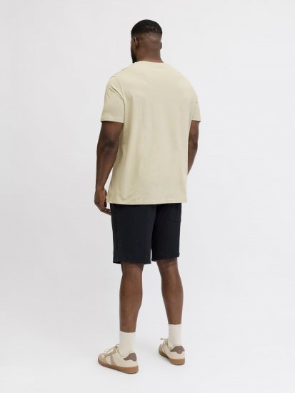Jack & Jones Blaneo Short Sleeve T-shirt Beige - T-shirts - Grote Maten T-shirts Heren